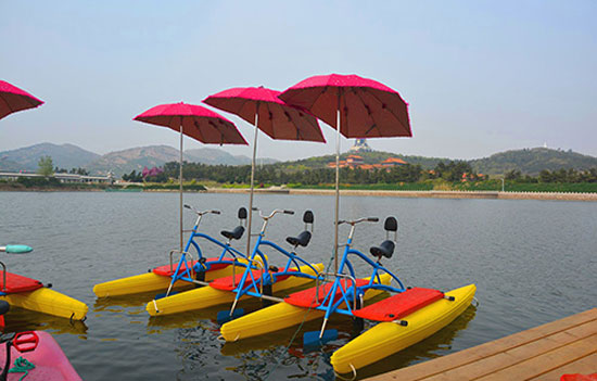 water paddle bike with shed