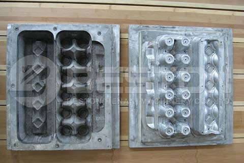 Egg Carton Molds