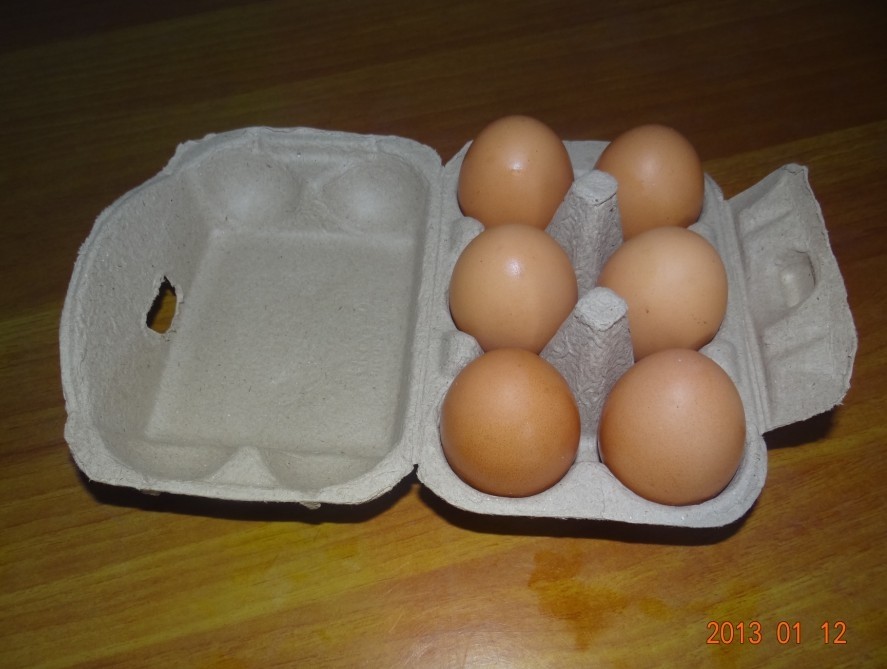 Use Paper Egg Carton Making Machine to Produce Six-hole Egg Carton