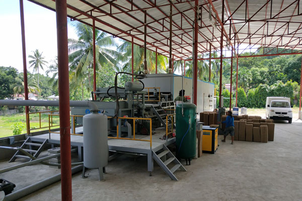 Beston Egg Tray Manufacturing Machine