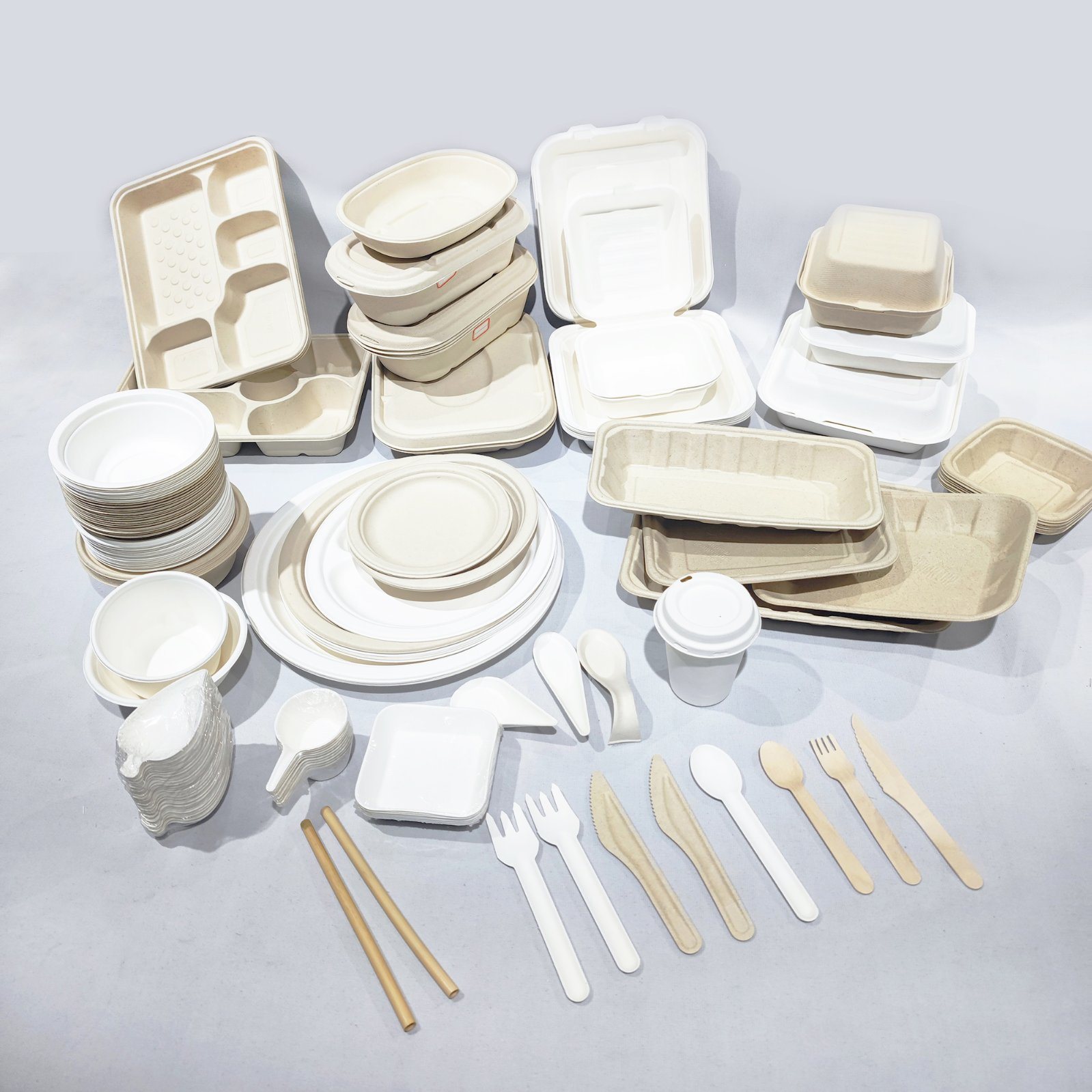 Disposable Sugarcane BagasseTableware